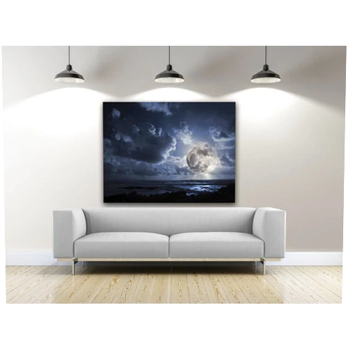 Artful printers C-16202002 Moonlight Flairs Photography Canvas Art, 16 x 20 in.