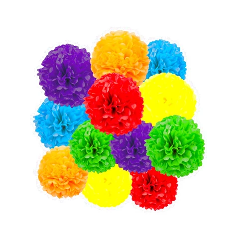 DOUSUI Rainbow Tissue Pom Poms Paper Kit DIY Decorative Flowers Ball for Birthday Party Wedding Hanging Decorations Pack of 12 10in12in