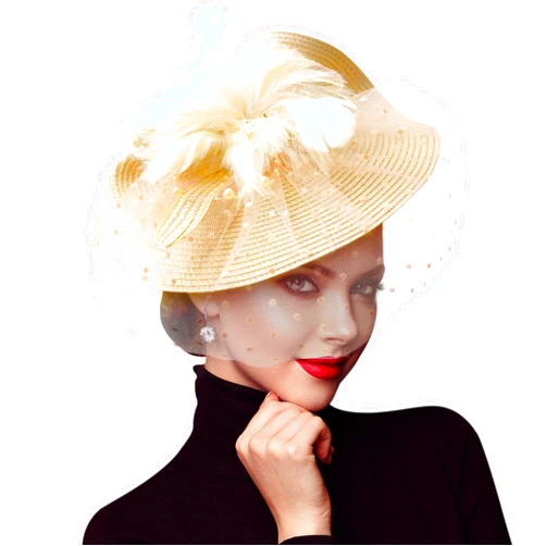DRESHOW Fascinators Hat Flower Mesh Feathers with a Headband and a Clip Tea Party Headwear for Girls and Women