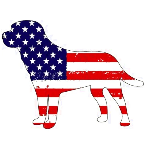 ION Graphics American Flag Labrador Retriever Custom Die Cut Magnet - Car
