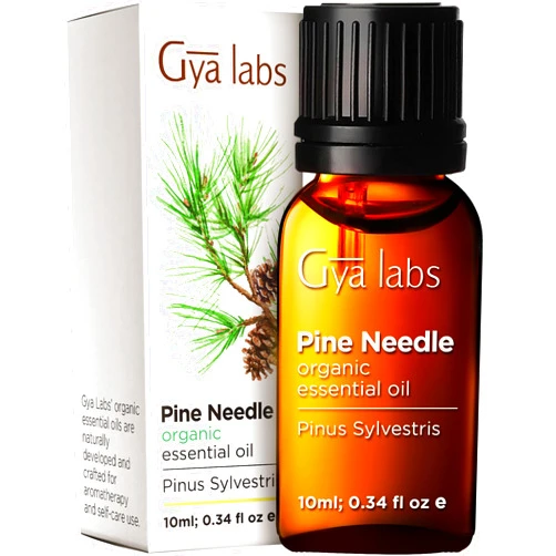 Gya Labs Organic Pine Essential Oils for Diffuser - Fall Pine Oil Organic Essential Oils - Pine Essential Oil Organic for Candle Making (0.34 fl oz)