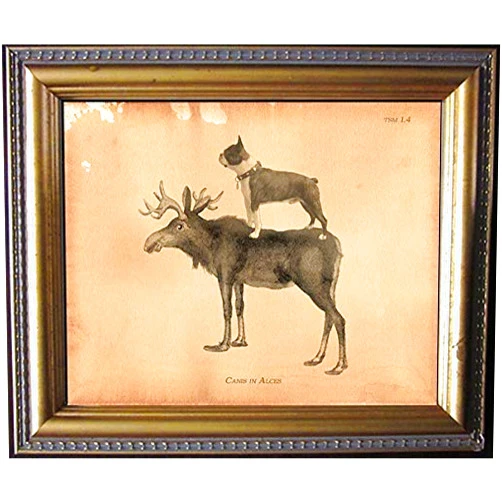 Handmade Boston Terrier Dog Riding Moose Vintage Collage Semi-Matte Photo Print Tea Stained Background dog art dog gift for dog mom gift for her dog novelty gift wall decor art print