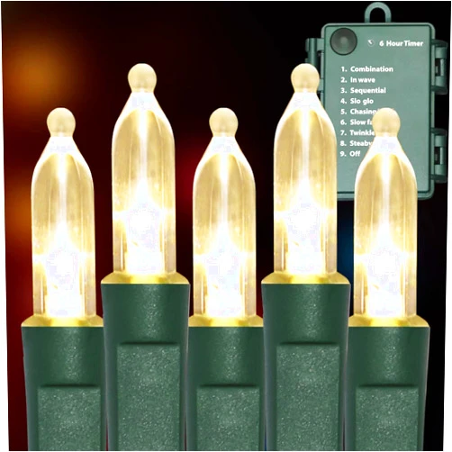 TWINGLEHOME 100LED Mini Lights,Green Wire,Waterproof Battery Case,Multi Functions,Timer,Warm White（2 Sets - Each 50 Count LED）