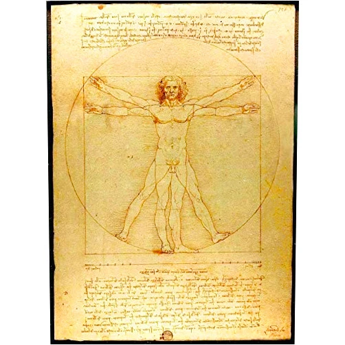 You Are Our Sunshine Leonardo Da Vinci - Vitruvian Man - ** Canvas Art Print -
