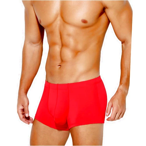 Arjen Kroos Men's Sexy Silky Trunks Underwear Boxer Briefs 1 Pack