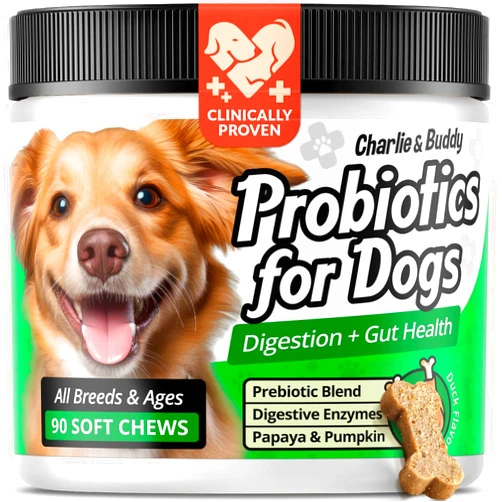 Charlie & Buddy Pet Probiotics for Dogs Aid Gut Flora, Dog Probiotics for Digestive Health with Digestive Enzymes, Pumpkin, and Papaya for Upset Stomach, 90 Soft Probiotic Chews for Dogs, Duck Flavor