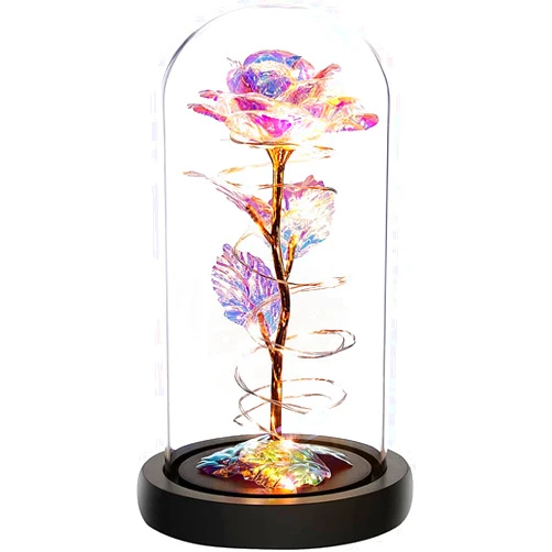 Mawjom Glass Dome Rose LED Night Light - Gifts for Mother Preserved Fresh Flower Table Decorations