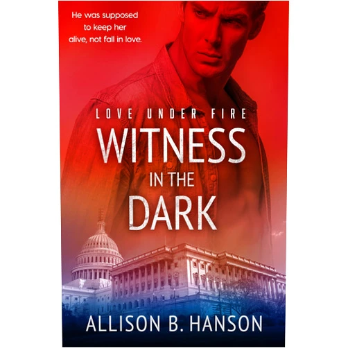 By Allison B. Hanson (Author) Format: Kindle Edition Witness in the Dark (Love Under Fire Book 1)