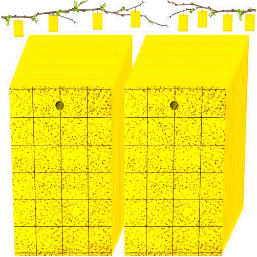 Qualirey 100 Pcs Yellow Sticky Trap for Gnats 3 x 5'' Dual Side Sticky Fruit Fly Trap with Tie Plant Sticky Trap for Flying Insect Fungus Bugs Flying Sticky Trap Sticky for Indoor Outdoor