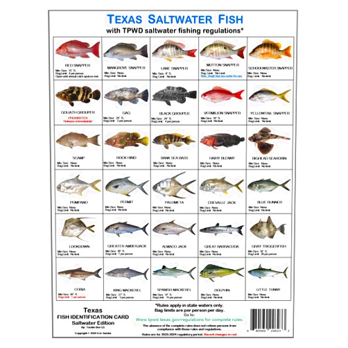 Tackle Box I.D. Texas Saltwater Fish Identification Card Set - Three Waterproof Cards Showing 60 Common Fish and 17 Sharks in True-to-Life Photographs with Current 2023-2024 TPWD Rules.