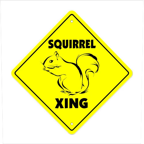 NoveltySignsOnline Squirrel Crossing Sign Zone Xing | Indoor/Outdoor | 12