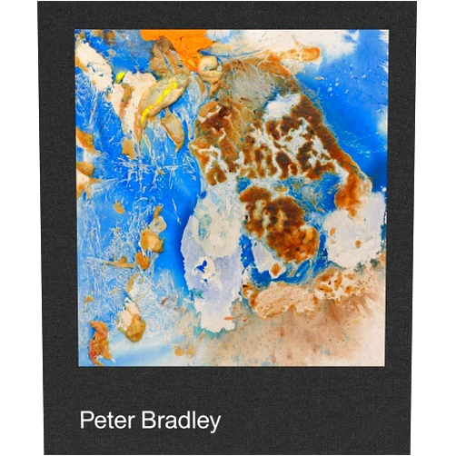 Peter Bradley,Bob Nickas,Lauren O’Neill-Butler,David Rhodes Peter Bradley