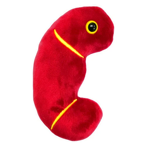 GIANT MICROBES Giantmicrobes Kidney Plush, Kidney Stuffed Animal, Kidney Transplant Gifts, Kidney Donor Gifts, Kidney Pillow, Urology Gifts, Nephrology Gifts, Dialysis Nurse Gifts, Gifts For Urologist, Kidney Toy
