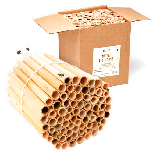 Rivajam 125 Phragmite Reed Mason Bee Tubes | Refill Your Mason Bee House, Bee Hotel Nest Box, Solitary Bee Hive & Pollinator Bee Box | Mason Bee Houses for the Garden Starter Kit & Mason Bees Supplies