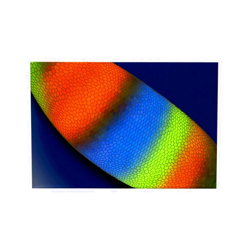 CafePress Bryo Rectangle Magnet, 3