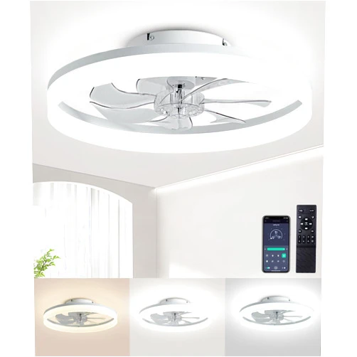 AQUBT Ceiling Fans with Lights and Remote,20