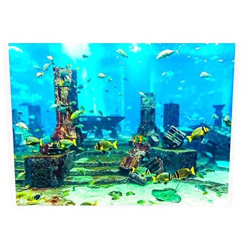 Yosoo PVC Fish Wall Decorations Sticker, Coral Aquarium Background Underwater Poster, Dual Side 3D Effect Sea-World Pattern (61 x 30cm)