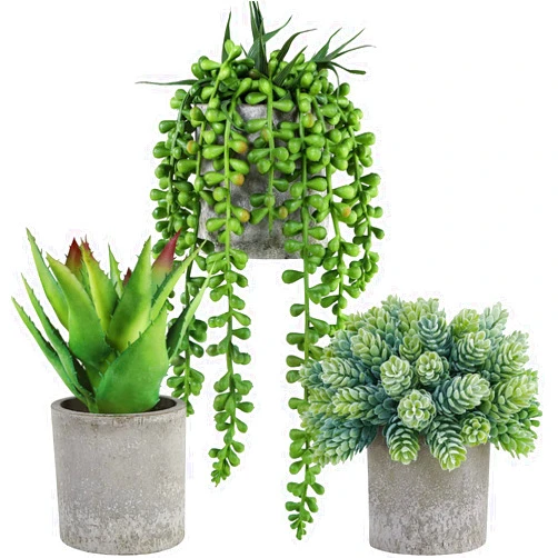 Winlyn Set of 3 Mini Potted Succulents Artificial String of Pearls Aloe Hops Succulent Plants in Gray Pots for Gifts Table Shelves Windowsill Office Desk Indoor Greenery Decorations Wedding Favors