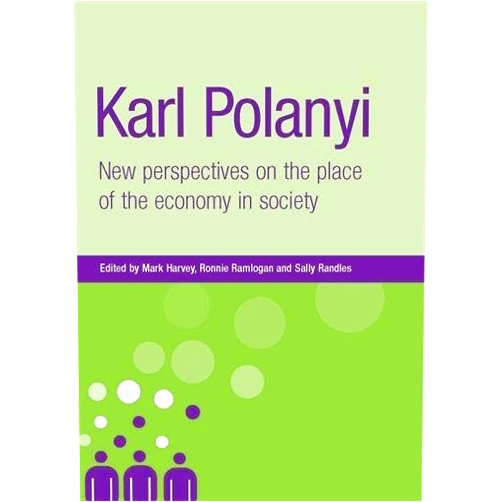 Mark Harvey,Ronnie Ramlogan,Sally Randles Karl Polanyi: New Perspectives on the Place of Economy in Society (New Dynamics of Innovation and Comp)