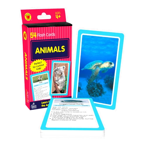 By Brighter Child (Compiler), Carson Dellosa Education (Compiler) Carson Dellosa 54 Animal Flash Cards, Zoo, Reptiles, Bugs, Sea Creatures, and More Flashcards, Toddler Stocking Stuffers, Preschool Learning Activities for Kids Ages 4 and Up