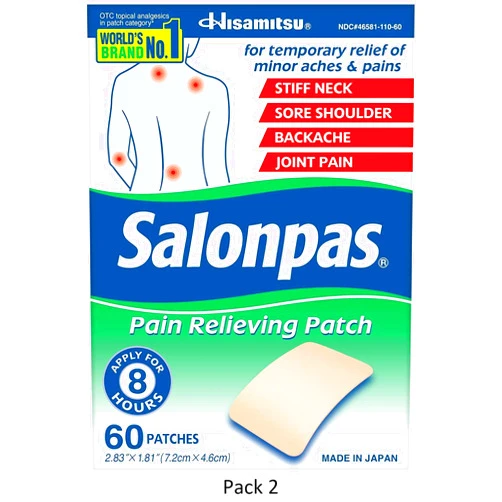 Salonpas Pain Relieving Patches, 60 Count, 2 Pack