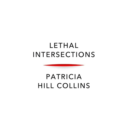 By Patricia Hill Collins (Author) Lethal Intersections: Race, Gender, and Violence