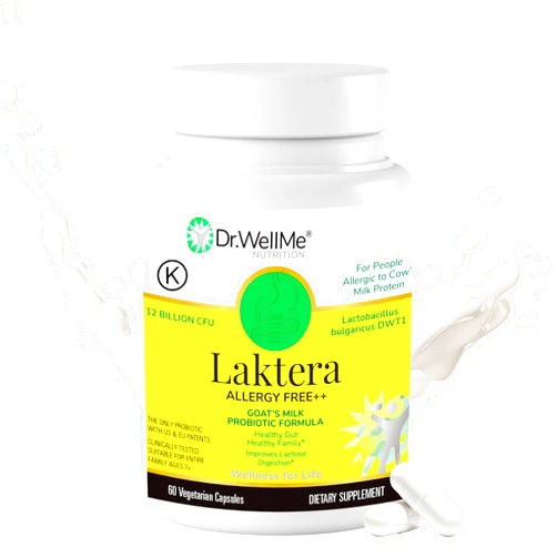 DR WELLME NUTRITION Dr.WellMe | Laktera Probiotic Digestive Aid | Truly Effective for Gut Health | 60 Capsules, 12 Billion CFU + Lactobacillus Bulgaricus | Kosher