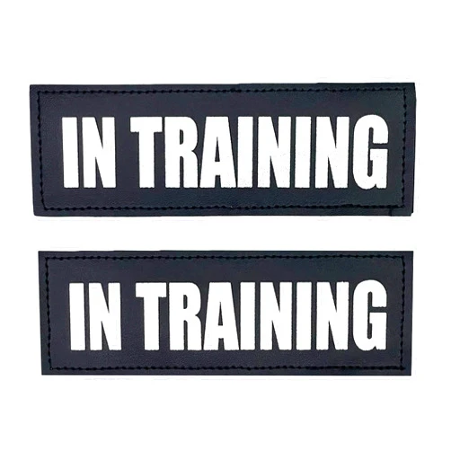 Albcorp Reflective In Training Patches with Hook Backing for Service Animal Vests /Harnesses Medium (5 X 1.5) Inch