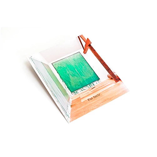 Anna C. Chave Pat Steir