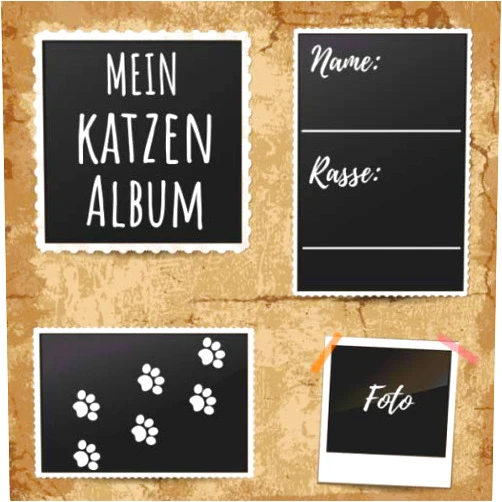 Mein Katzen Fotoalbum Mein Katzen Album: ein tolles Foto- und Erinnerungsalbum für deine Katze - eine tolle Geschenkidee für alle Katzen-Liebhaber - 110 Seiten im praktischen 21cm x 21cm Format (German Edition)