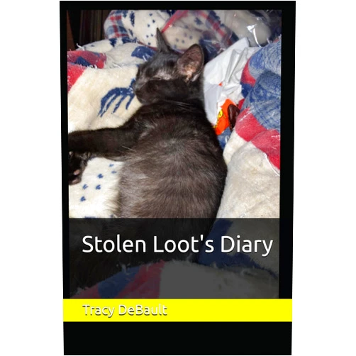 Tracy DeBault Stolen Loot's Diary
