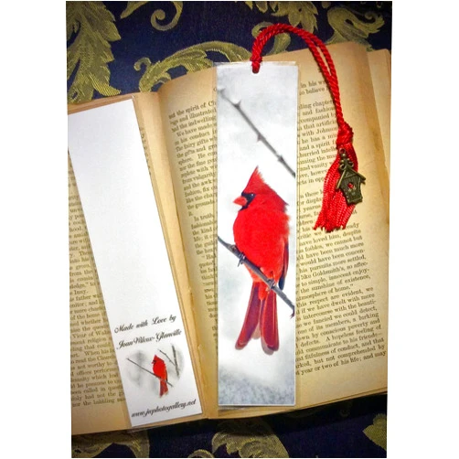 JWPhotography Gallery Snowy Red Winter Cardinal Male Bird Photo Bookmark w/Antique Bronze Birdhouse Charm Fine Art Photography Photo Laminated Handmade Bookmark
