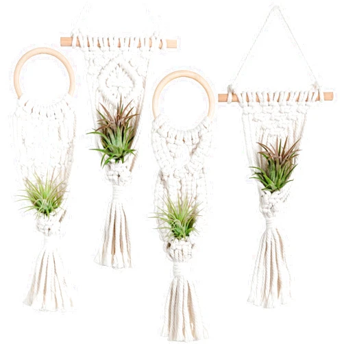 Melphoe 4 Pack Air Plants Holders Air Fern Macrame Plant Hanger Indoor Hanging Planter Basket for Tillandsias Display Air Plant Stand, Boho Home Decoration Gift Idea