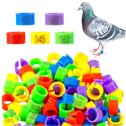 MEWTOGO 8mm 100 Pcs Bird Pigeons Leg Rings - Colorful Readable Numbered Bird Identification Leg Bands, Durable Poultry Leg Bands Clip on Leg Rings for Bantam Finch Dove Lovebird Coturnix Quail
