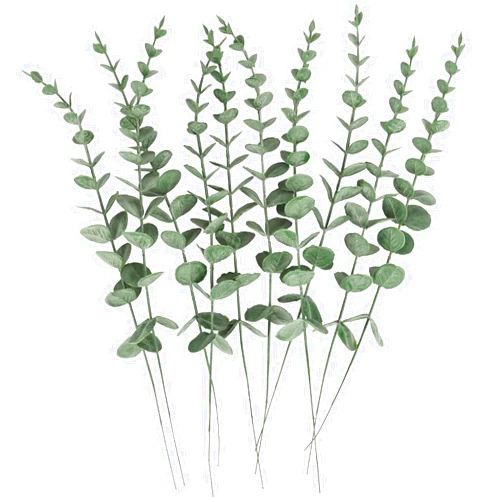 Heqxwl Real Dried Eucalyptus for Decorations - 10 Pcs 17