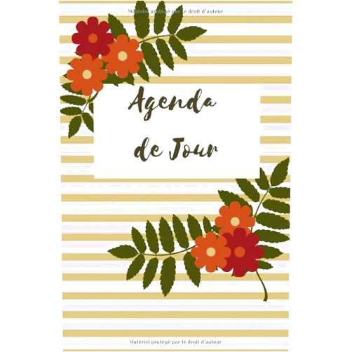 French Edition by nara dadaian (Author) Agenda de Jour: Planificateur et Organiseur Quotidien (French Edition)