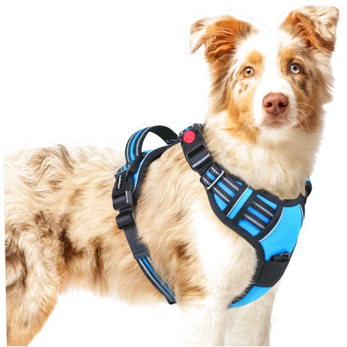 rabbitgoo Dog Harness Medium Sized, No Pull Pet Harness with 3 Buckles, Adjustable Soft Padded Dog Vest with Instant Control Handle, Easy Walking Reflective Pet Vest for Medium Dogs, Sky Blue, M