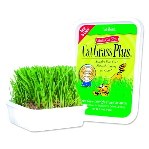 Miracle Care Cat-A'bout Cat Grass For Indoor Cats, 5.25 oz, Cat Grass Growing kit for all cats, Cat Grass Growing Kit Includes Potting Mix, Seeds, and Container
