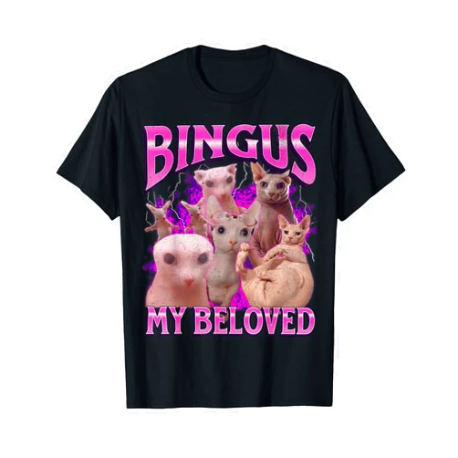 MildlyPerturbed Bingus My Beloved Funny Sphinx Cat Meme Bootleg Graphic T-Shirt