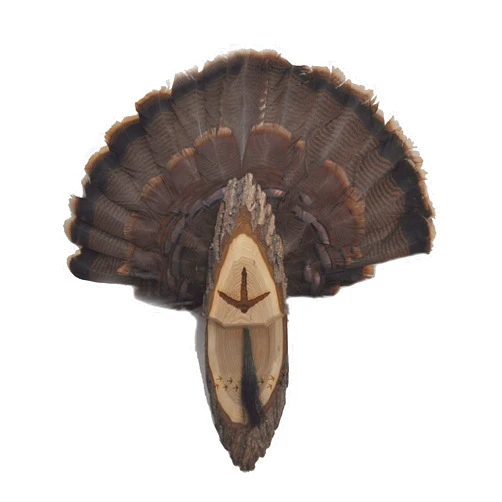 Handmade Turkey Fan Plaque Turkey Mounting Kit Turkey Hunting Turkey Fan and Beard Mount Turkey Fan Mount And Display Kit One Of A Kind Turkey Fan Mount