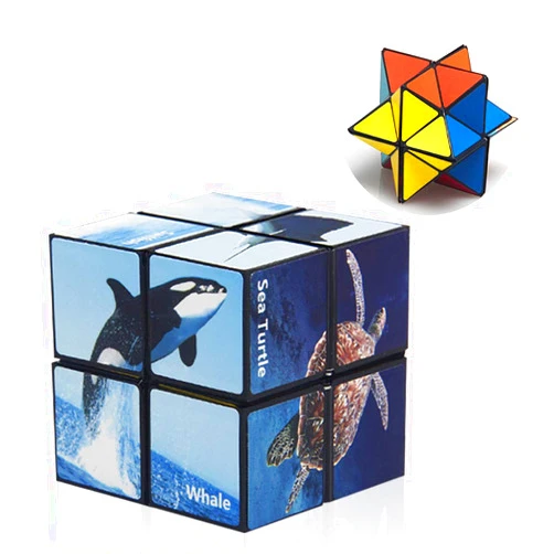 Euclidean Cube Star Cube Magic Cube Set, 2 in 1 Yoshimoto Cube for Kids and Adults, Toys for Boys and Girls Ages 8-12