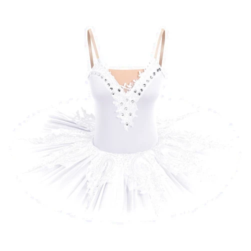 AFAVOM Ballet Leotards for Women Ballerina Performance Swan Lake Costume Embroidery Hard Platter Tutu Skirt Leotard Dancewear
