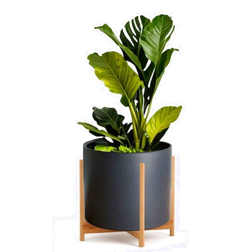 Fox & Fern 14.6 Inch Fiberstone Black Planter with Mid Century Bamboo Plant Stand