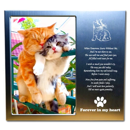 JOEZITON Cat Memorial Gifts for Loss of Cat, Loss of Cat Sympathy Gift, Rainbow Bridge Cat Memorial Picture Frame, 4x6 Inch Personalized Metal