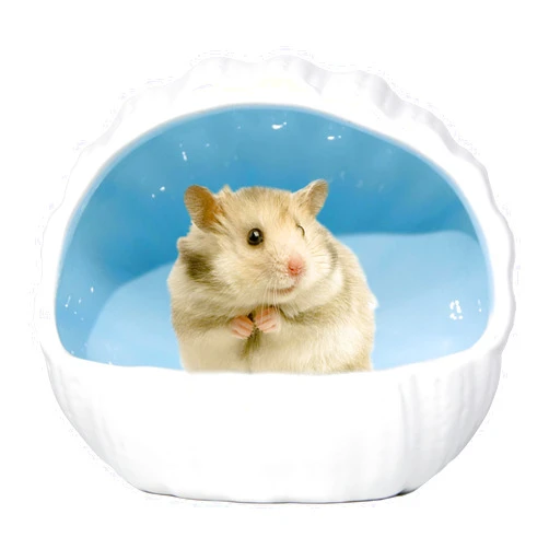 Woleigiao Ceramic Hamster Hideout Guinea Pigs House Guinea Pigs Accessories Sand Bathes for Small Pets Hamster Accessories for Cages for Guinea Pigs Chinchillas Gerbils Hedgehogs (Blue)