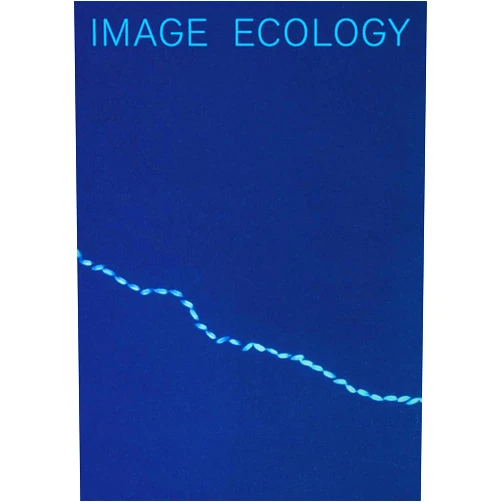 By Boaz Levin (Editor), Kathrin Schönegg (Editor), Andrea Jösch (Contributor), Romy Kießling (Contributor), Margarida Mendes (Contributor), Jason W. Moore (Contributor), Tania Roy (Contributor), Britt Salvesen (Contributor), Olga Smith (Contributor) & 5 more Image Ecology