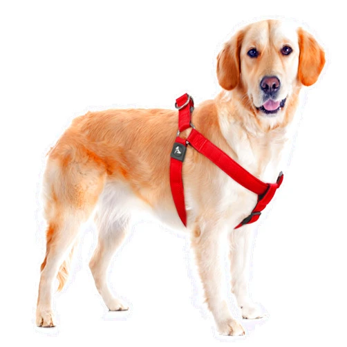 KRUZ PET Kruz Original Heavy-Duty No Pull Dog Harness - Ultra Comfort, Lifetime Durability, Pet Harness for Small and Medium Dog Breeds (Red, Large)
