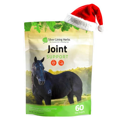 Silver Lining Herbs Horse Joint Support Supplement - Joint Complex, Mobility & Comfort Horse Supplements - Equinety Supplement with Natural Herbal Blend of Ginger, Burdock & More - 1 lb 60-Day Supply