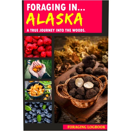 Nery E. Hayslett Foraging in Alaska: Foraging Log Book for Local Backyard Gatherers | A True Journey into the Woods