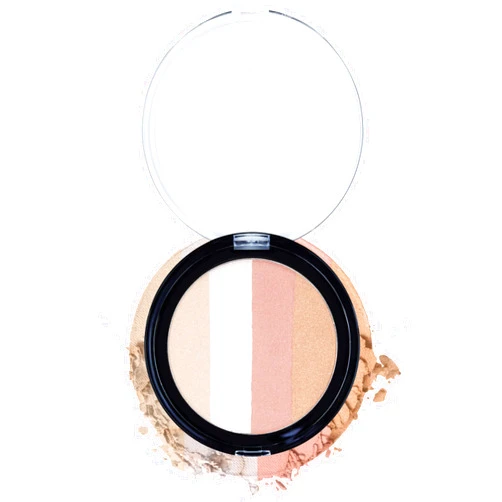 wet n wild Megaglo Illuminating Blush Palette, Catwalk Pink | Blush & Highlighter Makeup